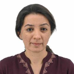 Prof. Arti D. Kalro