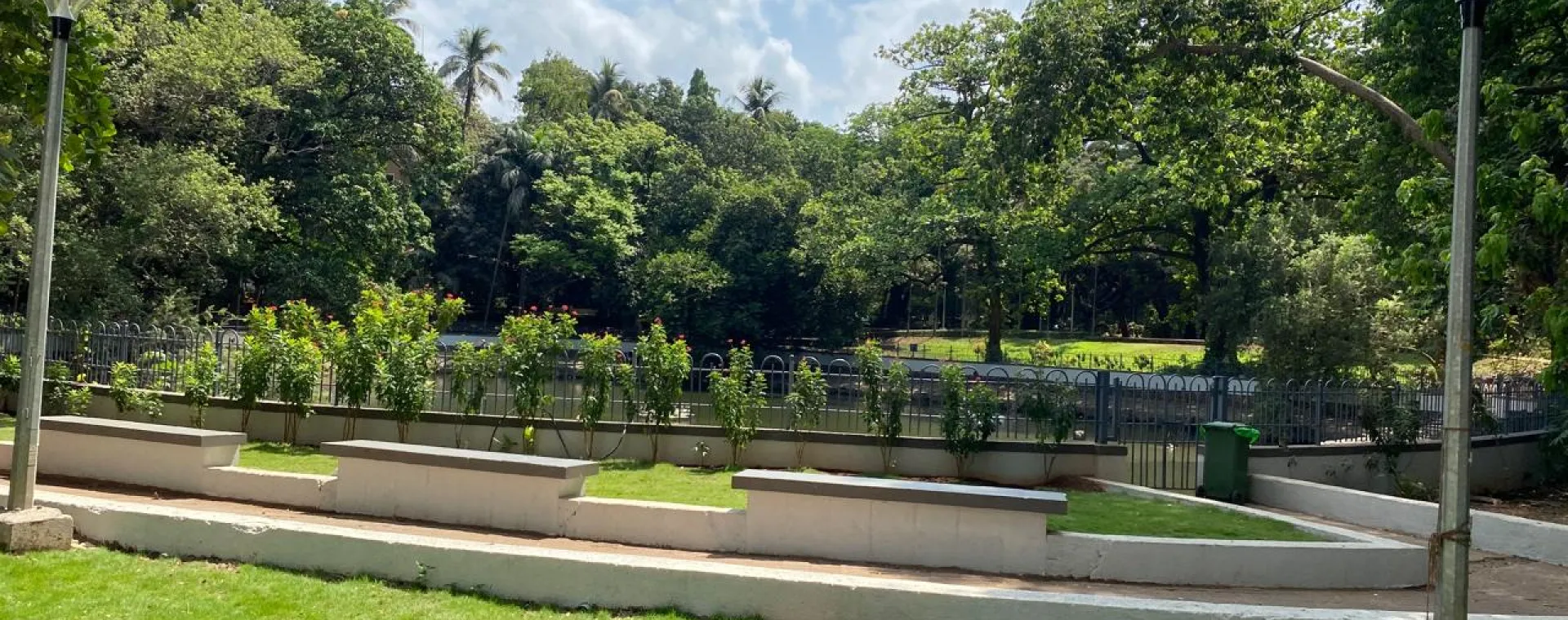 Pond adjacent to lawn