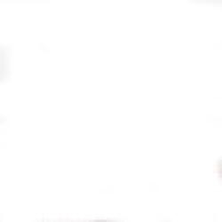 Ms. Pramila Sasalekar 