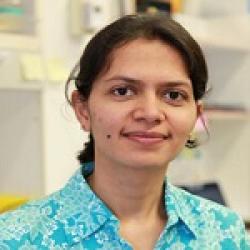 Prof Prakriti Tayalia