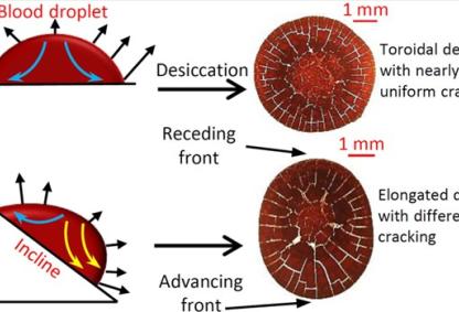 Graphical representation of an inclined plane affecting cracks in the dried blood droplet. Credits: American Chemical Society (ACS)