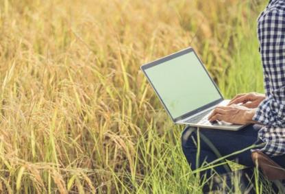 Credits: Image from Freepix