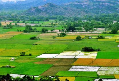 Image Credits: Raj / Flickr / Wikimedia under the CC Attribution 2.0 Generic license (resized)