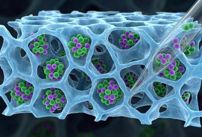 Generated using Google Gemini Nano Banana