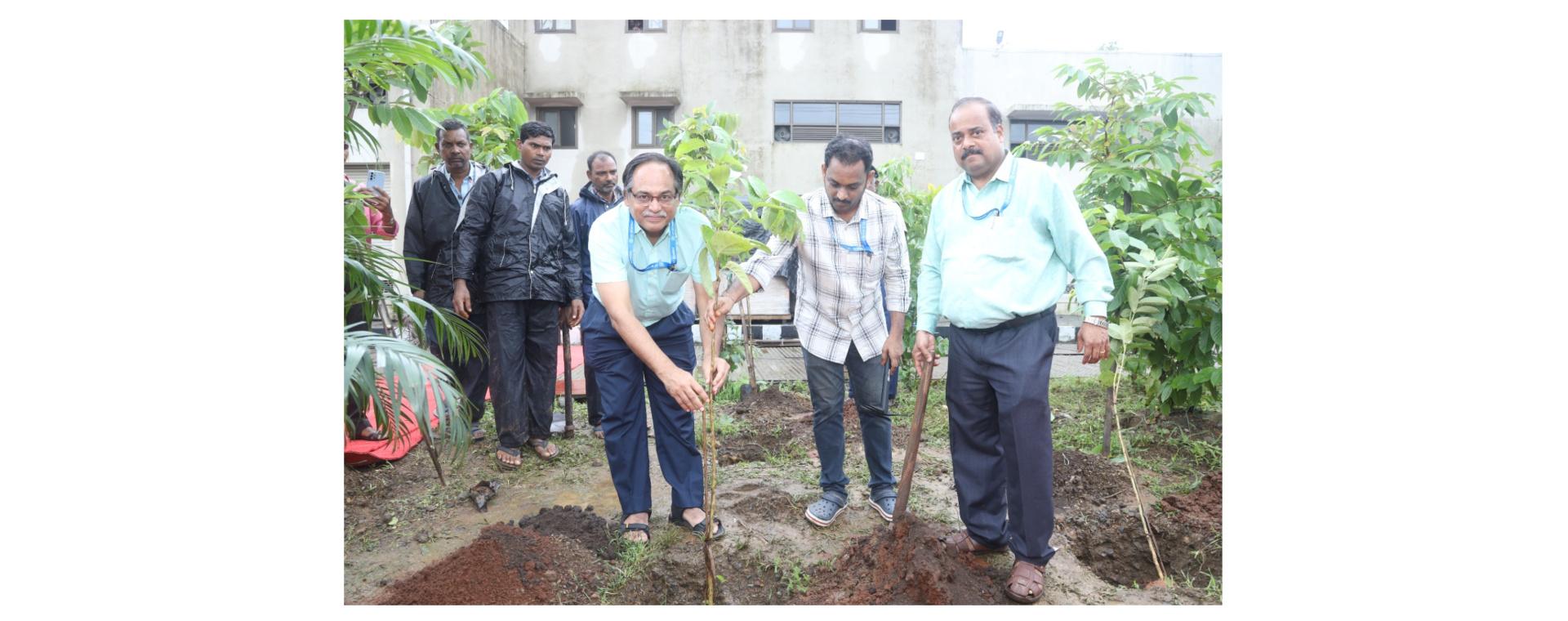 IIT Bombay celebrated the 34th Van Mahotsav on Saturday, July 26, 2025.